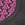2XU Women's Pro-Swim Run Pro Shorty Wetsuit - Image 11