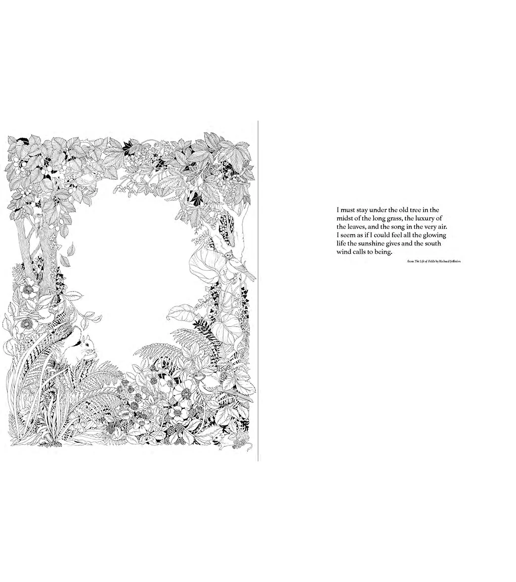 Abrams Books A Walk in the Woods Coloring Book - Image 2