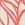 ALOHA Backyard Cabin Crew Kit - Image 7