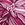 Arena Men's Pink Dahlia Brief Swimsuit - Image 6