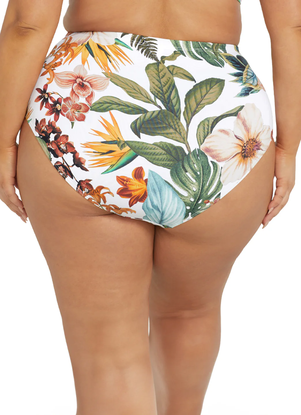 Artesands Woman's Plus Size Into The Saltu Botticelli High Waist Bikini Bottom - Image 5