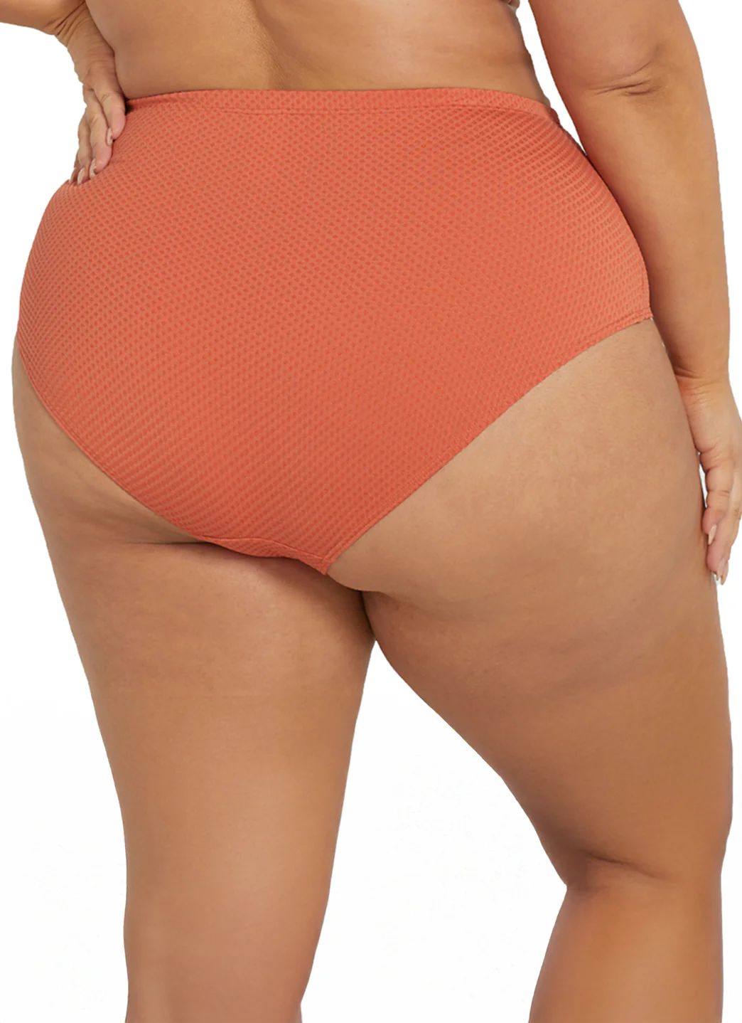 Artesands Woman's Plus Size Wuk-tjarra Renoir High Waist Bikini Bottom - Image 5