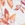 Azura Women's Harvest Bikini Bottom - Image 6