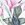 Azura Women's Sofia Midrise Band Bikini Bottom - Image 6