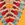 Becca Swim Women's Fiesta Clare Plunge One Piece Swimsuit - Image 3