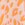 Billabong Girls' Chase The Wild Swim Short (Big Kid) - Image 3