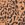 Billabong Women's Hidden Shore High Maui Bikini Bottom - Image 6