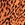 Billabong Women's Road Trippin Print Short - Image 3