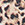 Body Glove Women's Primal Shanaya Triangle Bikini Top - Image 12