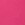 Body Glove Women's Smoothies Palmer Bikini Top - Image 59