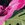 Body Glove Women's Tropical Island Speedy Swim Short - Image 4