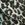 Carmen Marc Valvo Women's Isola Jaguar Pareo - Image 6