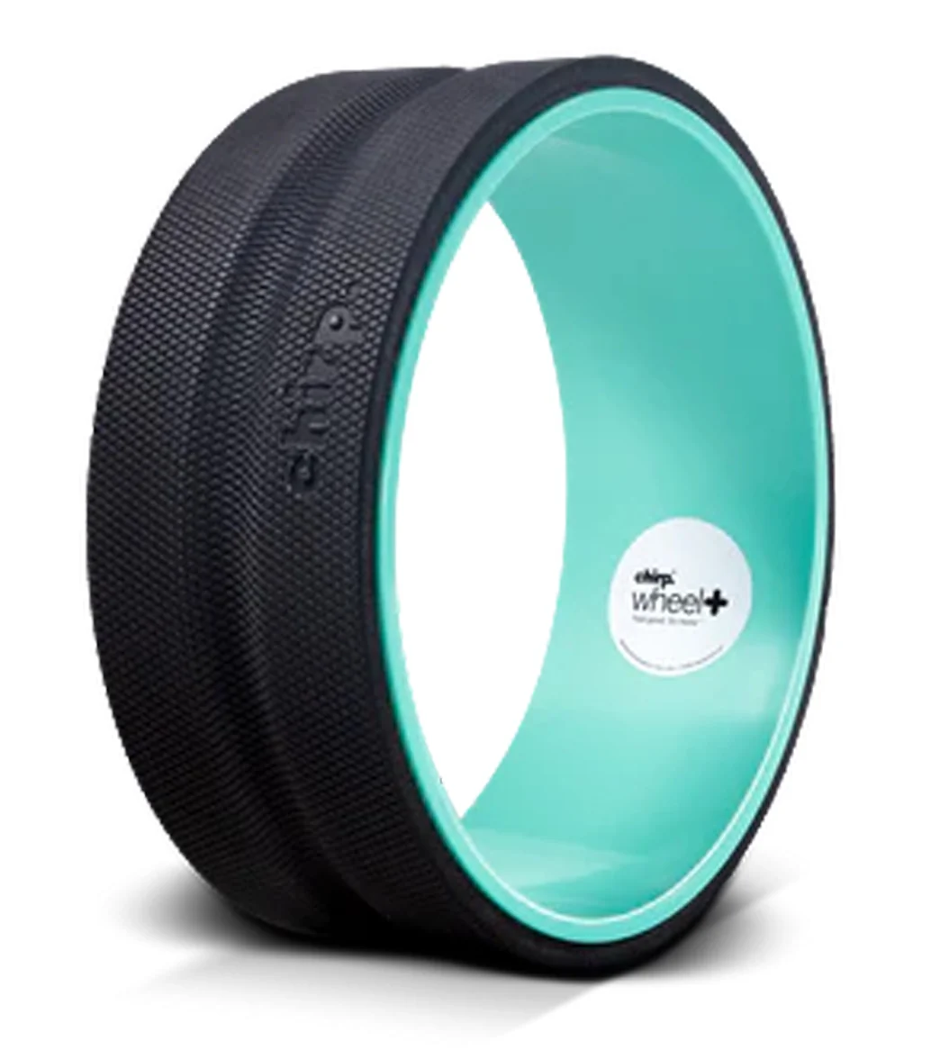 Chirp 12" Chirp Wheel