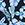 Eidon Men's 17" Walls Volley Swim Trunks - Image 10