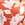 Gottex Women's Amore Am A Feminine Floral Side Slit Long Cover Up Skirt - Image 7