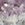 Healing N Love Amethyst Cluster - Image 2