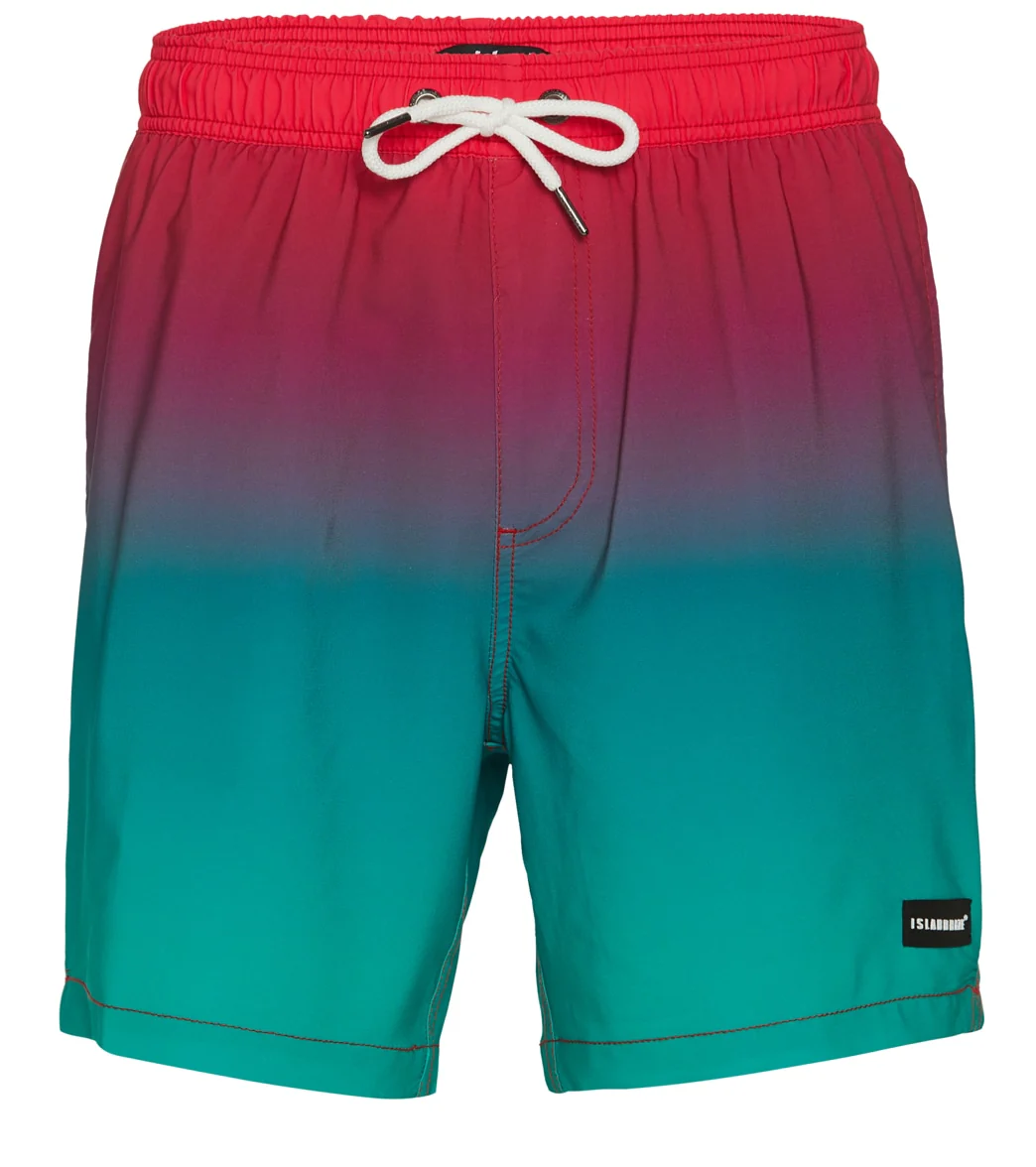 Island Haze Men's 17" Misty Printed Swim Trunks - Image 4