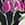 Jantzen Women's Floral Fantasy Vera Surplice Bikini Top - Image 4