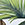 Jantzen Women's Jungle Glam Surplice One Piece Swimsuit - Image 6