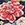 Johnny Was Women's Dark Floral Mia Front Tie Bikini Top - Image 5
