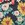 Johnny Was Women's Dark Floral Surf Shirt One Piece Swimsuit - Image 5