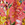 Johnny Was Women's Kairi A-Line Dress Cover Up - Image 7