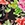 Johnny Was Women's Metalli Mix String Bikini Bottom - Image 4