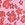JOLYN Women's Hibiscus Haze Brandon 2 Printed One Piece Swimsuit - Image 7