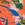 JOLYN Women's Midl Retreat Bikini Bottom - Image 6