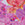 JOLYN Women's Valle Orchids Rib Moderate Bikini Bottom - Image 13