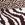 La Blanca Women's Plus Fierce Lines Crossover High Waist Bikini Bottom - Image 3