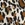 Maxine Women's Plus Size Jungle Cat Empire Swim Dress - Image 3