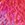 Nike Olympic Collection Women's Racerback One Piece Swimsuit - Image 6