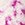 NUX Peek A Boo Rib Long Sleeve - Image 7