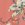 O'Neill Women's Johnny Floral Woven Pant - Image 6