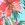 Penbrooke Women's Taste of Tropic Princess Seam Ruffle Tankini Top - Image 7