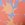 prAna Presolana Hipster Bikini Bottom - Image 4