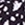 Profile by Gottex Women's Bash Bandeau Swim Dress - Image 4