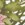 Rip Curl Women's Beach Botanica Bikini Bottom - Image 5
