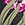 Roxy Women's Beach Classics Tropical Strappy Bikini Top - Image 7