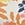 Roxy Women's Pt Beach Classics Cheeky Hi Leg Bikini Bottom - Image 13