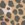 Sanuk Women's Sling St Cheetah Sandal - Image 5