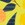 Seafolly Girls' Lemon Soda One Piece Swimsuit (Big Kid) - Image 3