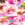 Shape Solver By Penbrooke Women's Border Floral Shirred Bandeau One Piece Swimsuit - Image 7