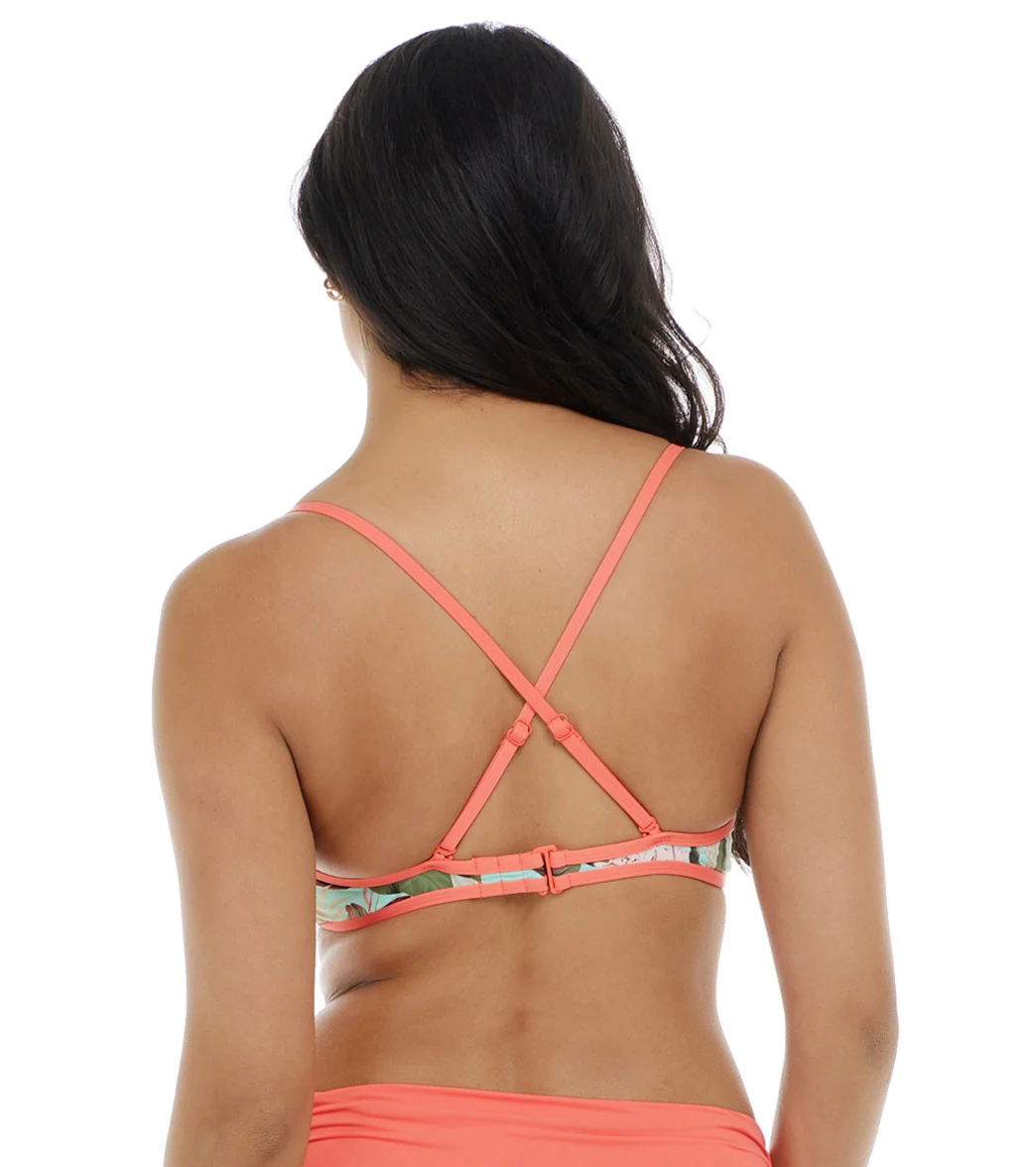 Skye Women's Olinda Liz Bikini Top - Image 5
