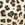 Skye Women's Safari Isabella Bikini Top - Image 6