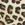 Skye Women's Safari Rachel Bikini Bottom - Image 6