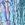 SlipIns Women's Amazing Abalone Long Sleeve Zippered One Piece Swimsuit - Image 6