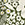 Slowtide Frankee Driftweave Turkish Beach Towel - Image 7