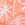 Snapper Rock Boys' Cali Palms Sustainable Swim Trunk (Toddler, Little Kid, Big Kid) - Image 7